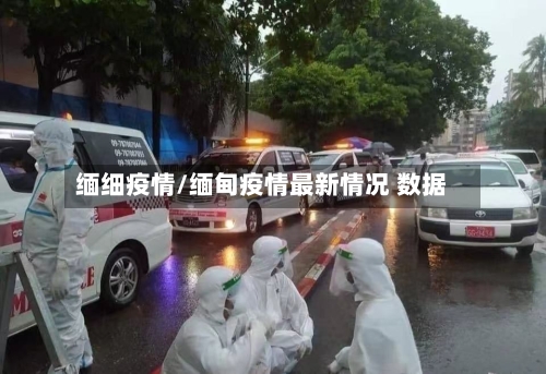 缅细疫情/缅甸疫情最新情况 数据-第2张图片