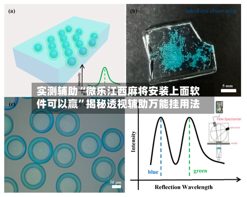 实测辅助“微乐江西麻将安装上面软件可以赢”揭秘透视辅助万能挂用法-第2张图片