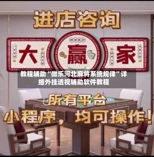 教程辅助“微乐河北麻将系统规律”详细外挂透视辅助软件教程-第2张图片