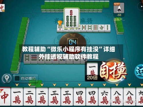教程辅助“微乐小程序有挂没	”详细外挂透视辅助软件教程-第1张图片