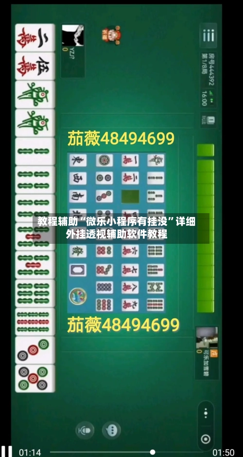 教程辅助“微乐小程序有挂没”详细外挂透视辅助软件教程-第2张图片