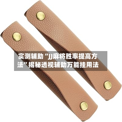实测辅助“JJ麻将胜率提高方法”揭秘透视辅助万能挂用法-第1张图片