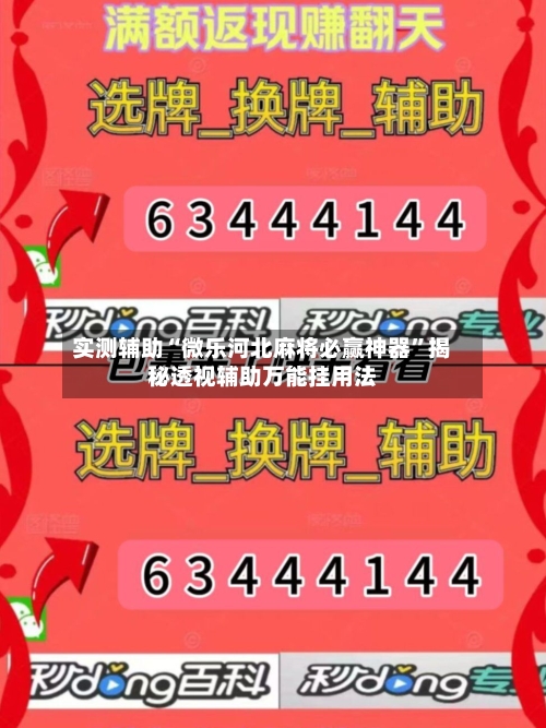 实测辅助“微乐河北麻将必赢神器”揭秘透视辅助万能挂用法-第2张图片