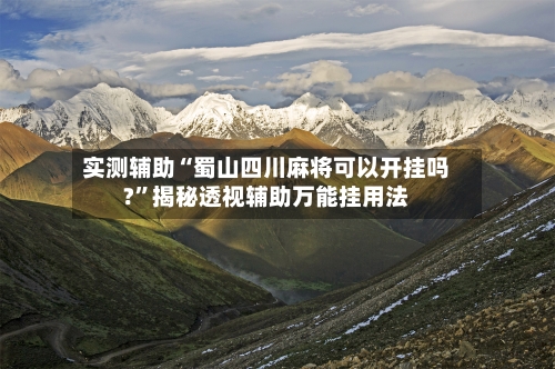 实测辅助“蜀山四川麻将可以开挂吗?”揭秘透视辅助万能挂用法-第1张图片
