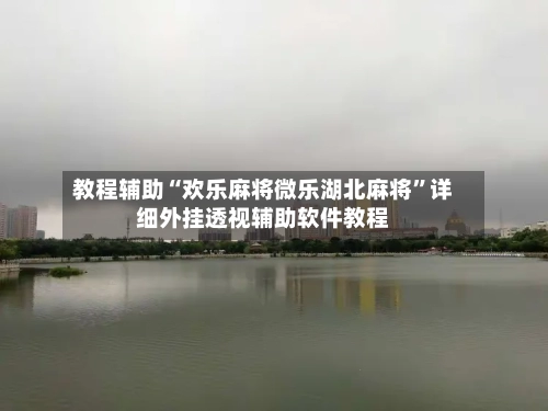教程辅助“欢乐麻将微乐湖北麻将”详细外挂透视辅助软件教程-第2张图片