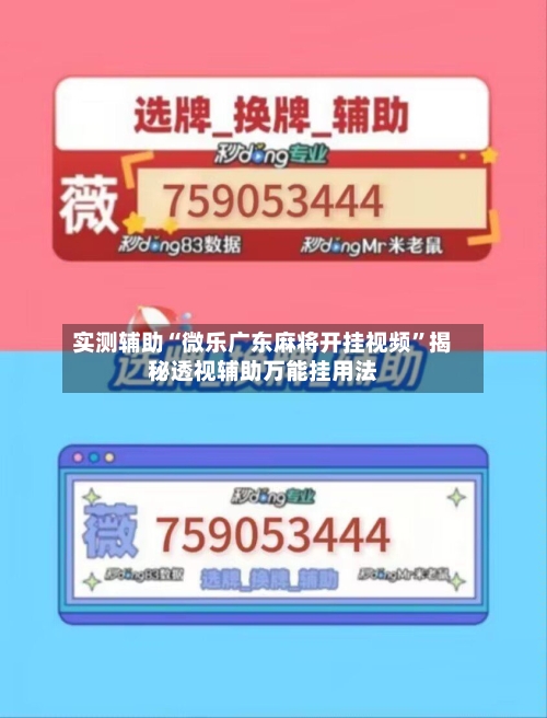 实测辅助“微乐广东麻将开挂视频”揭秘透视辅助万能挂用法-第1张图片