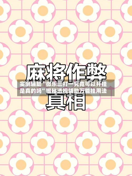 实测辅助“微乐三打一究竟可以开挂是真的吗	”揭秘透视辅助万能挂用法-第1张图片