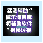 实测辅助“微乐湖南麻将辅助软件”揭秘透视辅助万能挂用法-第3张图片