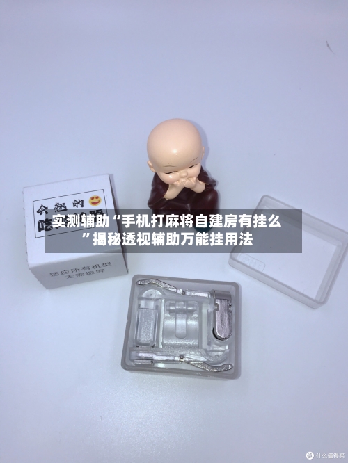 实测辅助“手机打麻将自建房有挂么”揭秘透视辅助万能挂用法-第1张图片