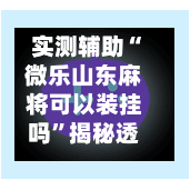 实测辅助“微乐山东麻将可以装挂吗	”揭秘透视辅助万能挂用法-第2张图片