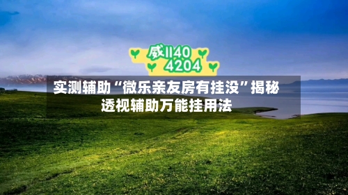 实测辅助“微乐亲友房有挂没”揭秘透视辅助万能挂用法-第1张图片