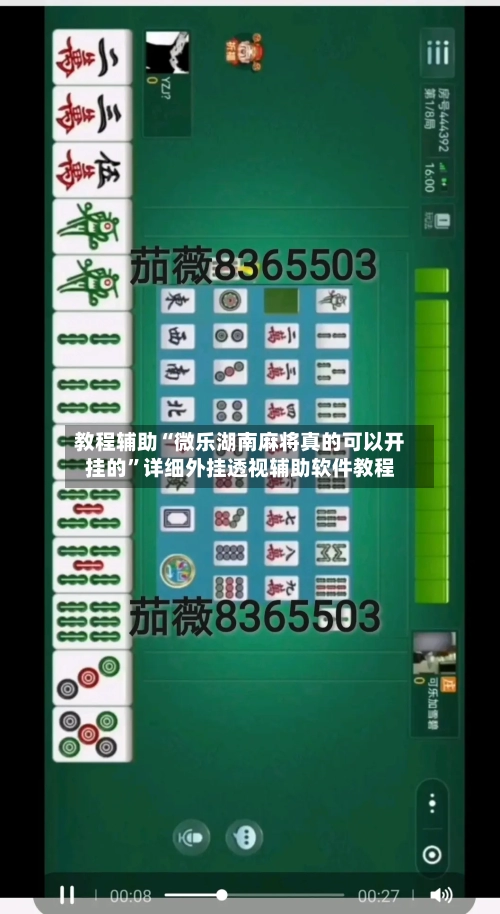 教程辅助“微乐湖南麻将真的可以开挂的	”详细外挂透视辅助软件教程-第3张图片