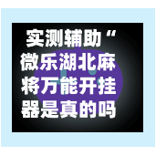 实测辅助“微乐湖北麻将万能开挂器是真的吗”揭秘透视辅助万能挂用法-第1张图片