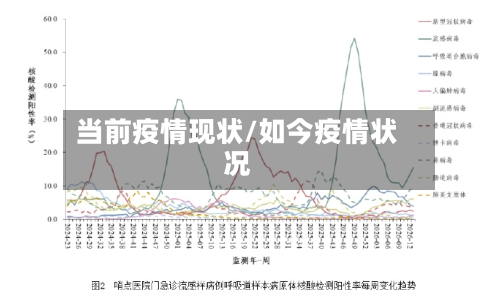 当前疫情现状/如今疫情状况-第1张图片
