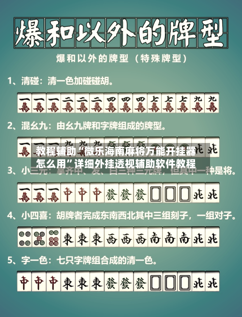 教程辅助“微乐海南麻将万能开挂器怎么用	”详细外挂透视辅助软件教程-第3张图片