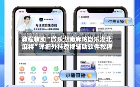 教程辅助“微乐湖南麻将微乐湖北麻将”详细外挂透视辅助软件教程-第3张图片