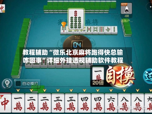 教程辅助“微乐北京麻将跑得快总输咋回事	”详细外挂透视辅助软件教程-第3张图片