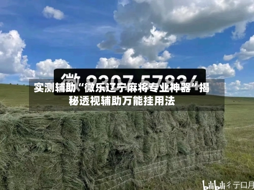 实测辅助“微乐辽宁麻将专业神器”揭秘透视辅助万能挂用法-第2张图片