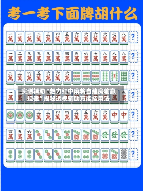 实测辅助“魅力红中麻将自建房输赢规律”揭秘透视辅助万能挂用法-第2张图片