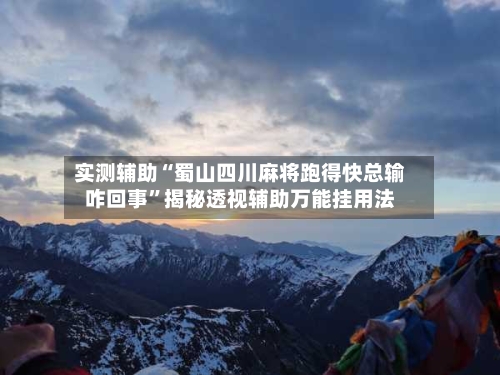 实测辅助“蜀山四川麻将跑得快总输咋回事”揭秘透视辅助万能挂用法-第1张图片