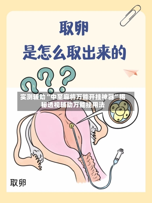 实测辅助“中至麻将万能开挂神器”揭秘透视辅助万能挂用法-第1张图片