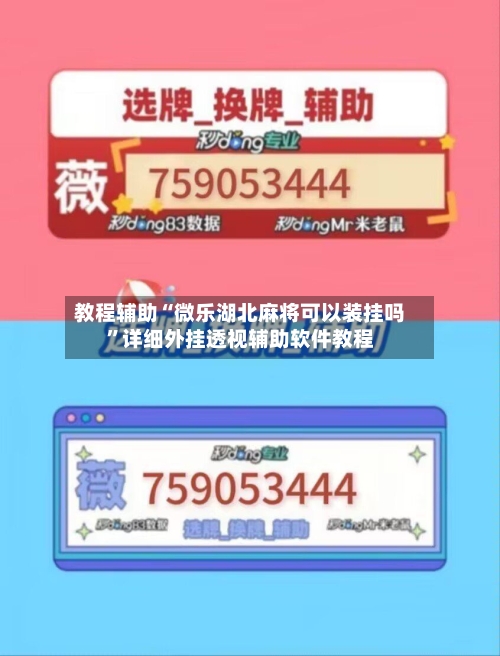 教程辅助“微乐湖北麻将可以装挂吗”详细外挂透视辅助软件教程-第2张图片