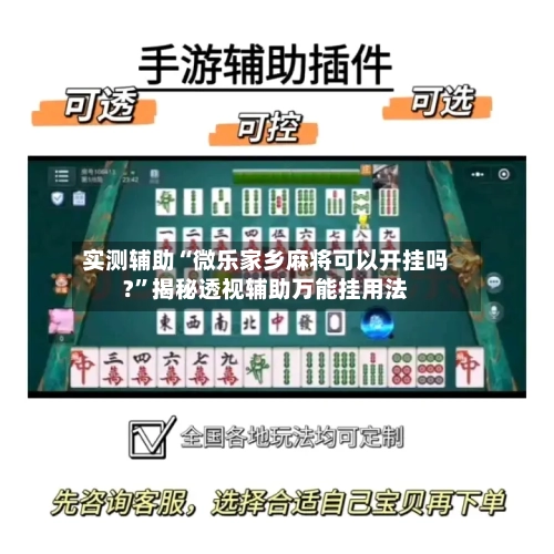 实测辅助“微乐家乡麻将可以开挂吗?	”揭秘透视辅助万能挂用法-第1张图片