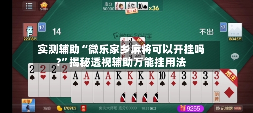 实测辅助“微乐家乡麻将可以开挂吗?”揭秘透视辅助万能挂用法-第2张图片