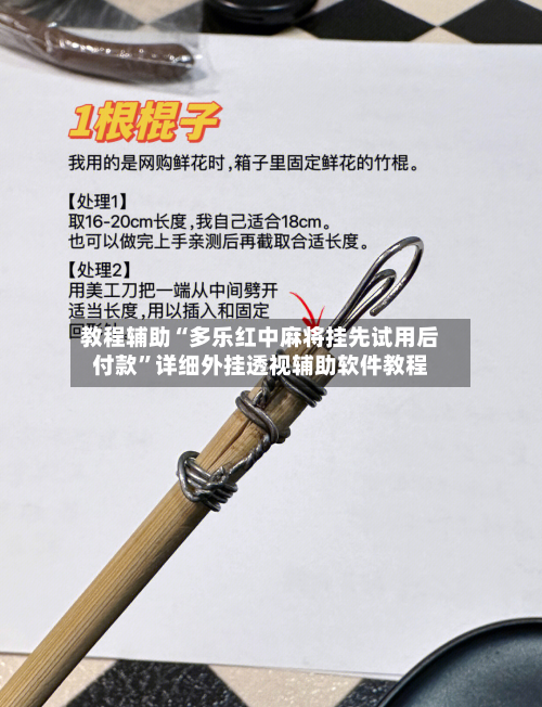 教程辅助“多乐红中麻将挂先试用后付款”详细外挂透视辅助软件教程-第1张图片
