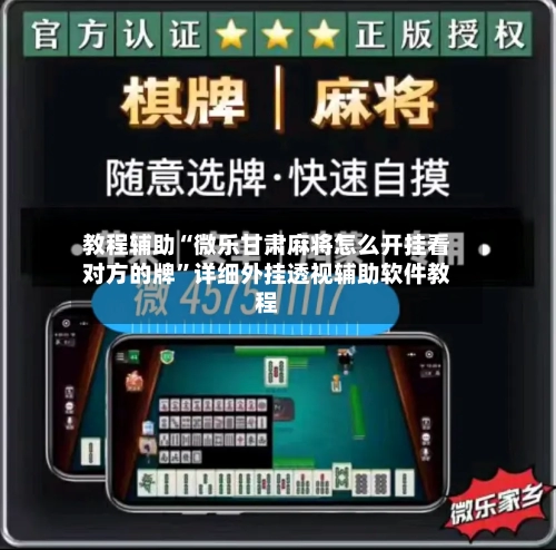 教程辅助“微乐甘肃麻将怎么开挂看对方的牌”详细外挂透视辅助软件教程-第3张图片