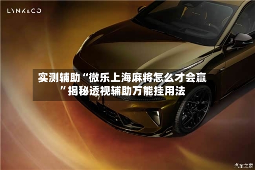 实测辅助“微乐上海麻将怎么才会赢”揭秘透视辅助万能挂用法-第3张图片