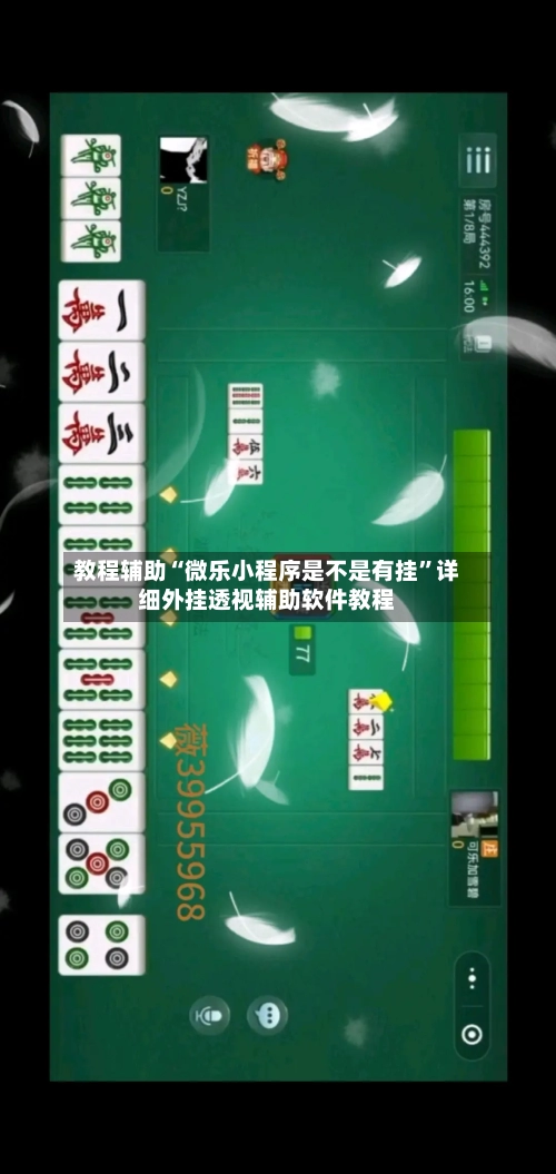 教程辅助“微乐小程序是不是有挂”详细外挂透视辅助软件教程-第2张图片