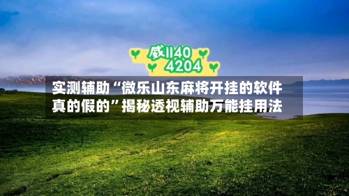 实测辅助“微乐山东麻将开挂的软件真的假的”揭秘透视辅助万能挂用法-第2张图片
