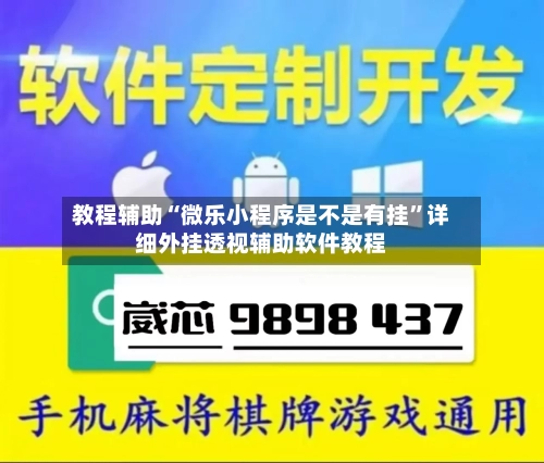 教程辅助“微乐小程序是不是有挂	”详细外挂透视辅助软件教程-第3张图片