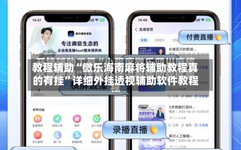 教程辅助“微乐海南麻将辅助教程真的有挂”详细外挂透视辅助软件教程-第2张图片