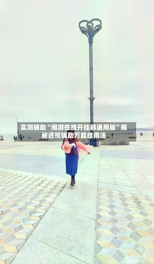 实测辅助“闽游在线开挂器通用版	”揭秘透视辅助万能挂用法-第1张图片