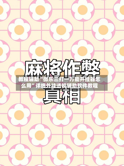 教程辅助“微乐三打一万能开挂器怎么用”详细外挂透视辅助软件教程-第3张图片
