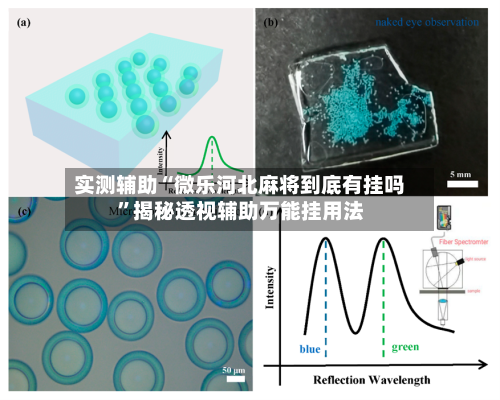 实测辅助“微乐河北麻将到底有挂吗”揭秘透视辅助万能挂用法-第1张图片