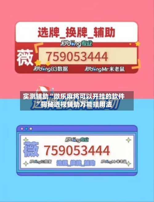 实测辅助“微乐麻将可以开挂的软件”揭秘透视辅助万能挂用法-第1张图片