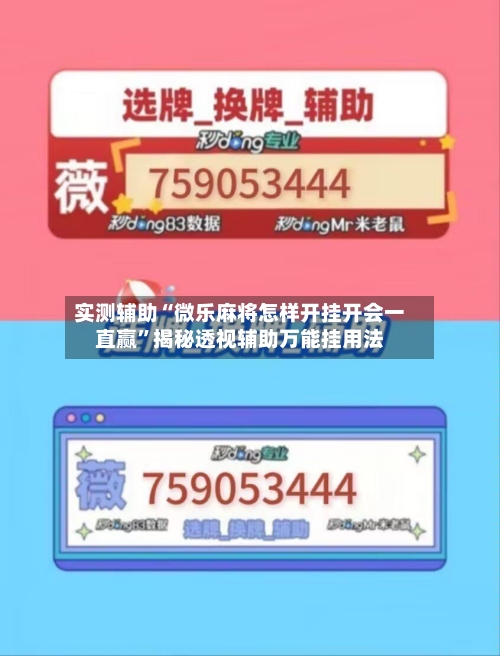 实测辅助“微乐麻将怎样开挂开会一直赢	”揭秘透视辅助万能挂用法-第2张图片