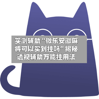 实测辅助“微乐安徽麻将可以买到挂吗”揭秘透视辅助万能挂用法-第2张图片