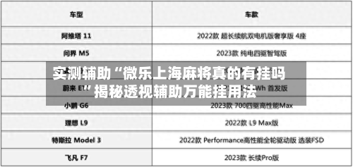 实测辅助“微乐上海麻将真的有挂吗”揭秘透视辅助万能挂用法-第1张图片