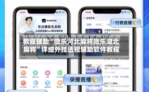 教程辅助“微乐河北麻将微乐湖北麻将	”详细外挂透视辅助软件教程-第1张图片