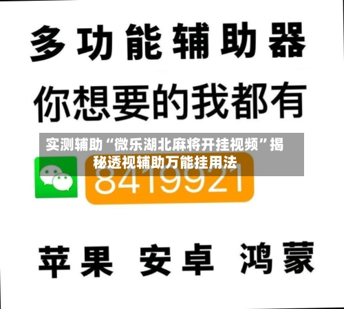 实测辅助“微乐湖北麻将开挂视频”揭秘透视辅助万能挂用法-第1张图片