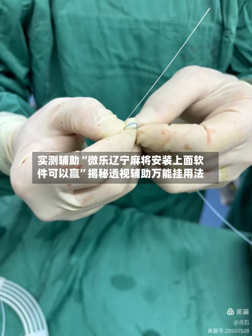 实测辅助“微乐辽宁麻将安装上面软件可以赢	”揭秘透视辅助万能挂用法-第2张图片