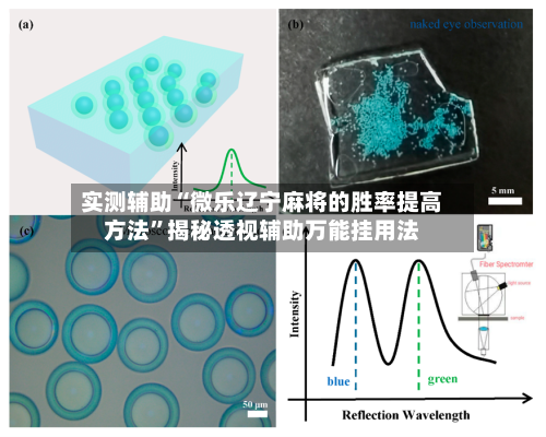 实测辅助“微乐辽宁麻将的胜率提高方法”揭秘透视辅助万能挂用法-第2张图片