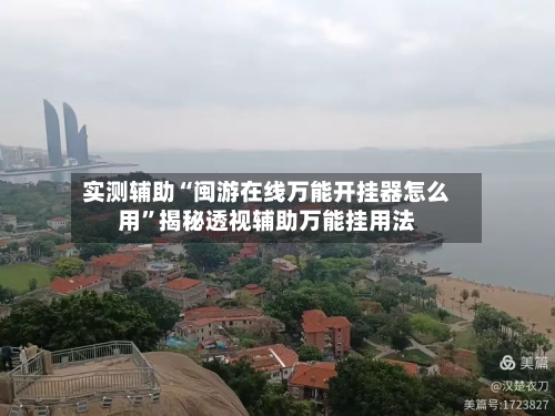 实测辅助“闽游在线万能开挂器怎么用”揭秘透视辅助万能挂用法-第3张图片