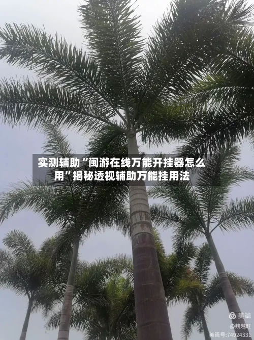 实测辅助“闽游在线万能开挂器怎么用”揭秘透视辅助万能挂用法-第2张图片