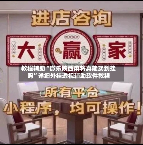 教程辅助“微乐陕西麻将真能买到挂吗	”详细外挂透视辅助软件教程-第1张图片