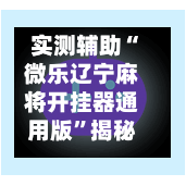 实测辅助“微乐辽宁麻将开挂器通用版”揭秘透视辅助万能挂用法-第2张图片